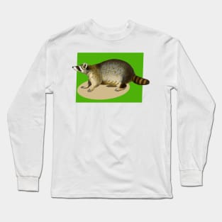 raccoon on a green backcolor Long Sleeve T-Shirt